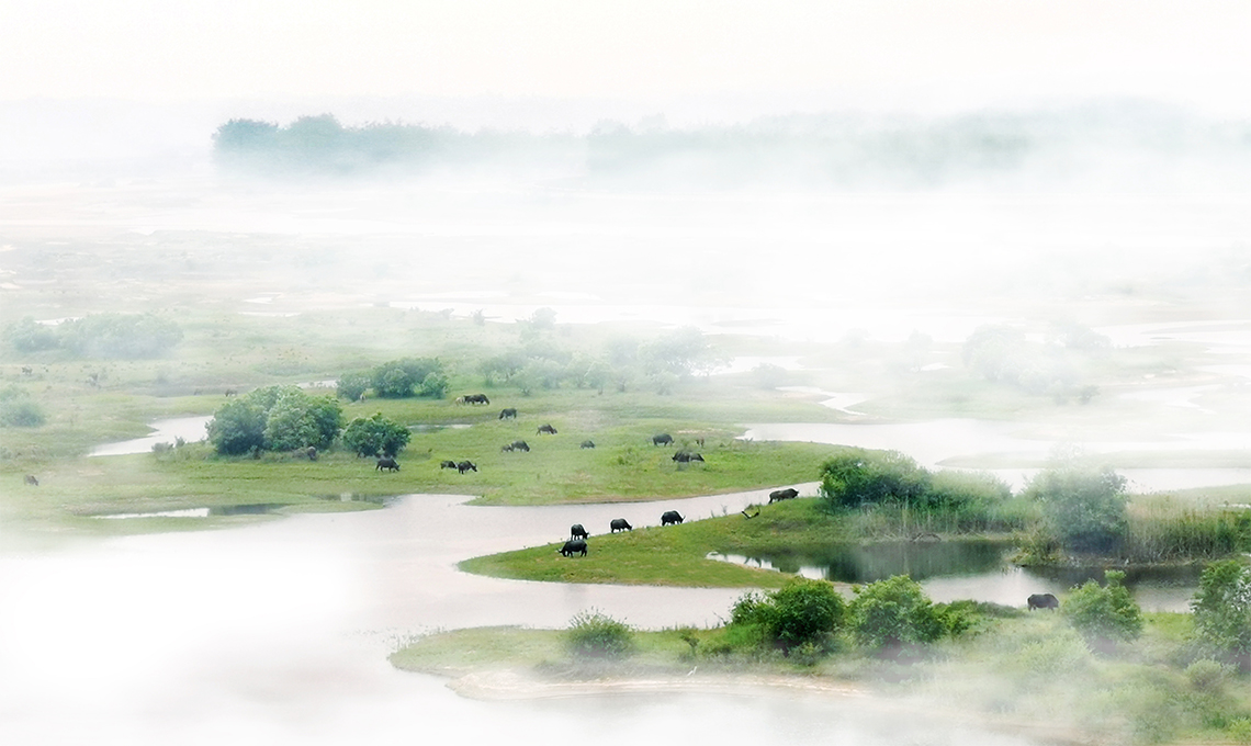 1750038657123273.jpg 未標(biāo)題-2.jpg