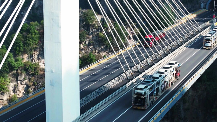 1766555369899450.jpg 4.jpg